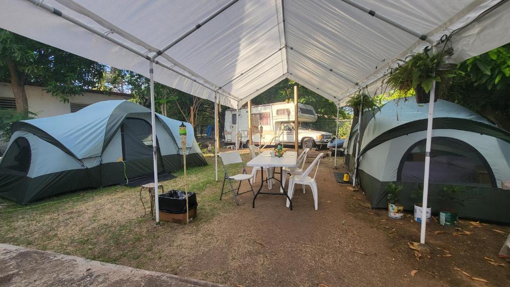 Esperanza Other | 212 BIO BAY TOUR 5 MINUTES WALK-HELP CANCER PATIENT'S FUNDRAISING CASH-MERCY INHOUSE CAMPSITE-FULL BED-FAN-TORCH TENT'S RENTAL'S-NOT A HOTEL-OPEN COUNTRY LIKE CAMPSITES-NOT JUMANJI-BATH SHARED LIKE CINEMA-WHATSAPP-Guest Pay Diesel-Pick Up Airport or Port