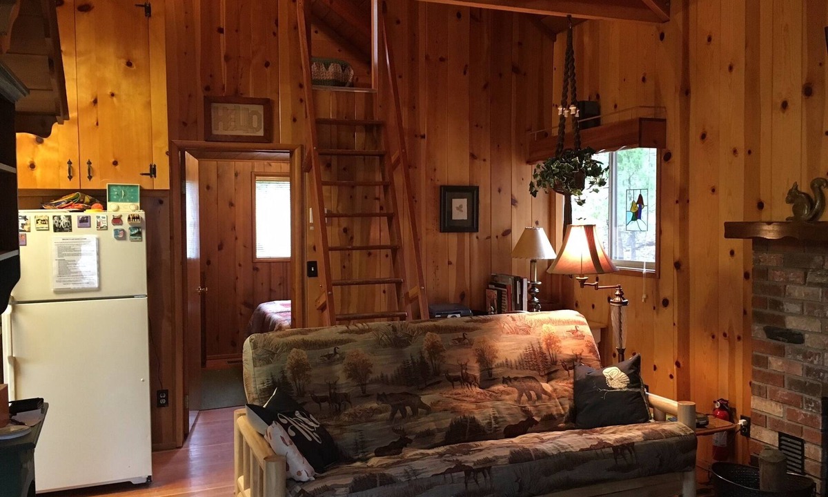 Idyllwild Cabin | Cozy cabin in the woods - Close to the arts/music & village, Pet friendly, Wifi