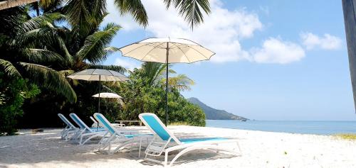 Amitie House | Ocean Jewels