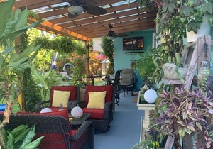 BLUE HOUSE in North Bay Village