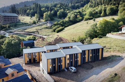 Bakuriani Ski Chalet | Bakuriani
