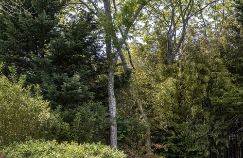 Village of East Hampton House | Chic cottage in the village with gunite pool. Walk to the beach, train, bus