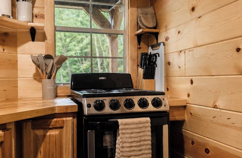 Walker Cabin | Cozy Tiny Cabin Near Leech Lake complete with Firepit + Trails
