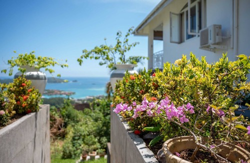 Zig Zag Ward Apartment | Homerez - Apt. Les Mamelles