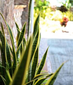 La Digue Apartment | La Vue De Mer