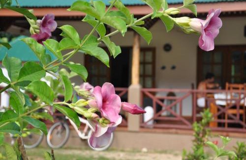 La Passe House | Paodise Guesthouse