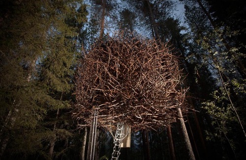 Harads Cabin | Treehotel
