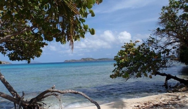 37 Steps to the Sea – Oceanfront Ground Floor Paradise w/Backup Generator. in Smith Bay