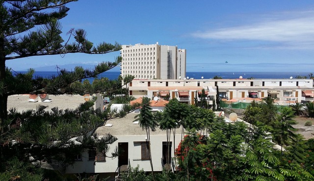 Apartment Jacaranda with pool, only some meters to beach and sea, wifi, SAT-TV in Arona