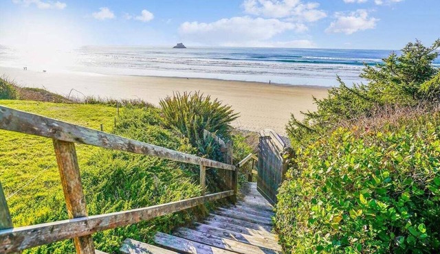 Beach Haven Arch Cape - Oceanfront - New Listing! in Arch Cape