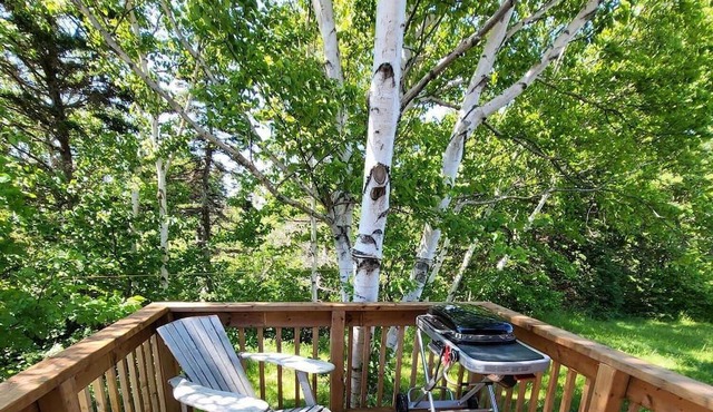 Beautiful Rustic Cabin 5 min to Beach!! in Pleasant Bay