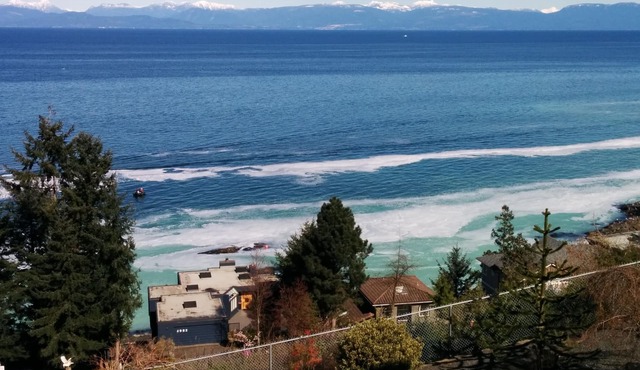 Big Vista Ocean View and Garden Suite. Minutes from the Salish Sea Shore! in Nanaimo
