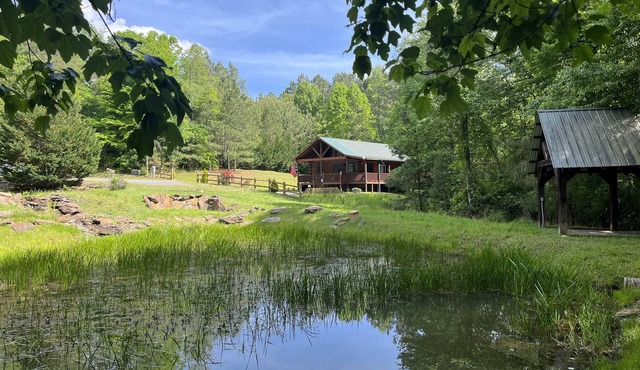 Cabin Blue Ridge-Murphy area, fast wifi, dog & family friendly, trail & hot tub! in Murphy