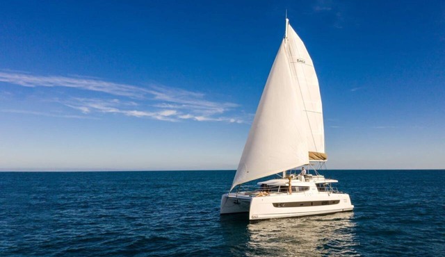 Caribbean Dream: Sun-soaked Sailing Adventure from Tortola, Islas Vírgenes Británicas in Parham Town