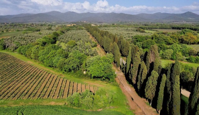Casale Bolgherese by Interhome in Bolgheri