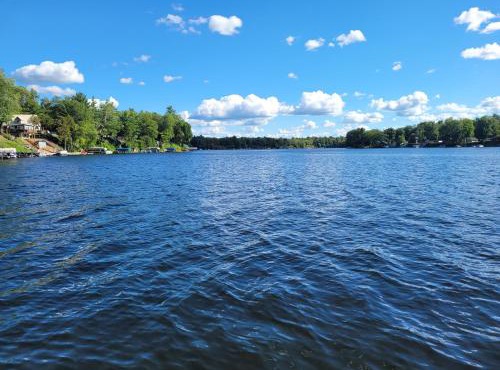 Castaways Cottage on Croton Pond #5 in Newaygo