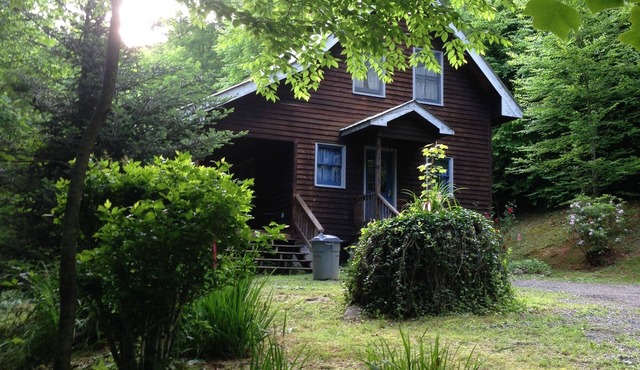 Classic mountain cabin with beautiful stone fireplace in a rural setting in Plumtree