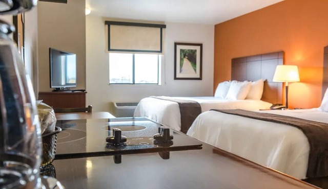 Comfortable Extended-Stay Hotel with Full Kitchens & Pet-Friendly Room in Marquette