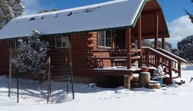 Comfy cabin for two close to Grand Canyon and many Northern Arizona attractions in Williams