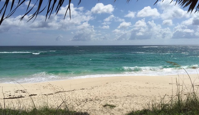 Condo w/Views, Beach, Htd Pool, Pickleball, Golf Cart, Gym,Walk to Restaurant in Governors Harbour