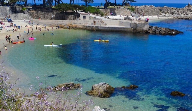 Cozy get-away in Pacific Grove (Pet Friendly!) in Pacific Grove