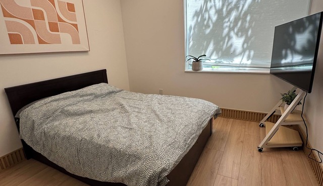 Cozy Lab Studio. Central Location. High-end Mattress, 55inch TV, Free Coffee in VANCOUVER