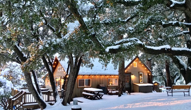 "Cozy Oaks Cabin" Peaceful Mountain Getaway, Charming & Romantic! Trail Pass. in Idyllwild