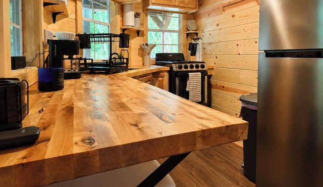 Cozy Tiny Cabin Near Leech Lake complete with Firepit + Trails in Walker