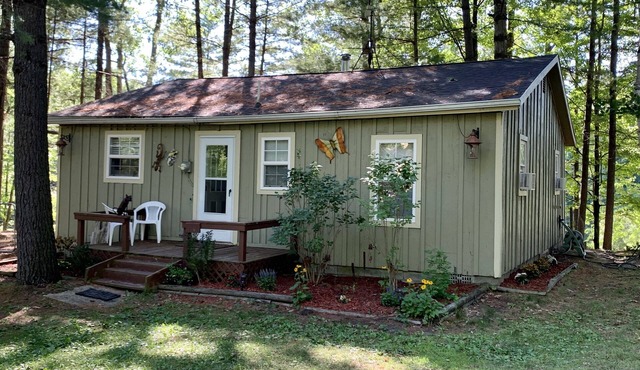 Cute cabin on the river! steps away for hunting! Book Week/Month for discount! in Gladwin