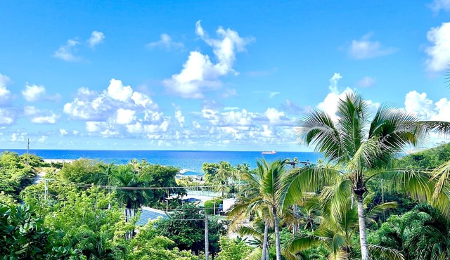Darling Palms Retreat: Beachside 2-Bedroom Oasis in ST THOMAS