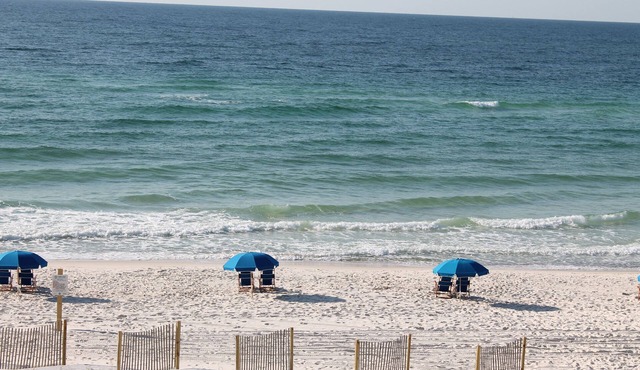 Fall at the beach is amazing ! Same beautiful beach, great weather & NO crowds in Orange Beach