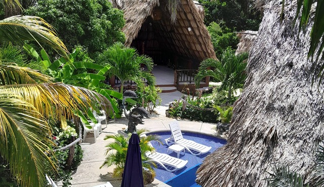 GECKO "LOFT" BUNGALOW Boutique Resort, Awesome Pool! FREE Int'l Airport Shuttle in Ladyville