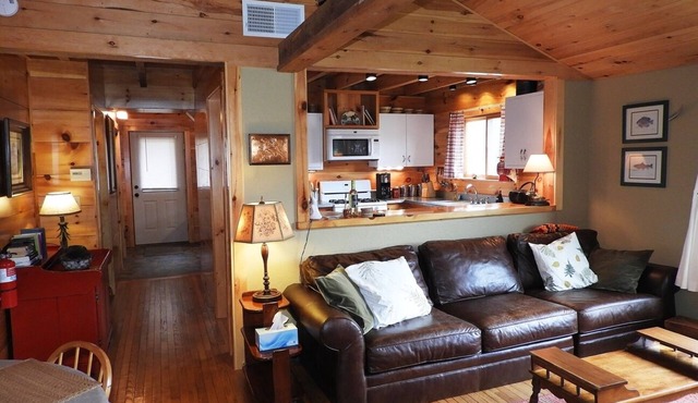 Hand-Crafted Cottage near Gore Mountain and Minerva Lake in Olmstedville