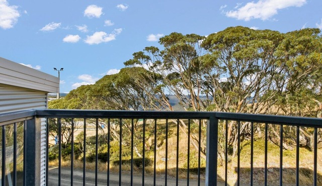 Higgi Drive 4 - Mt Hotham in Hotham Heights