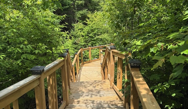 KoKo Bay:GLAMPING: Where Glamour meets Nature! Mix of Hilton Hotel and Camping! in Ingramport