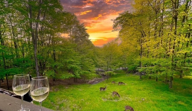Large Deck with Beech Mtn Views/Fireplace/Pets OK/Near Hiking, Biking & Fishing in Beech Mountain
