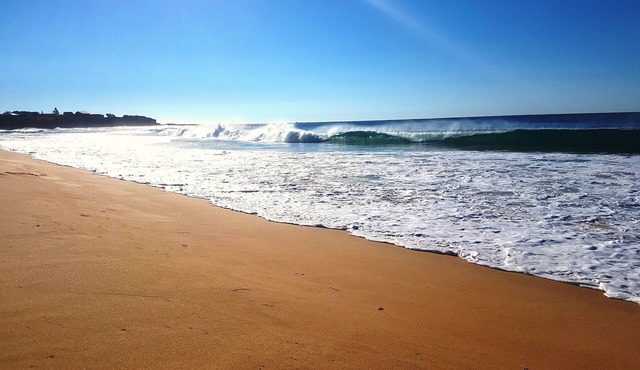 Let the waves hit your feet, let the sand be your seat! beach across the road! in Culburra Beach