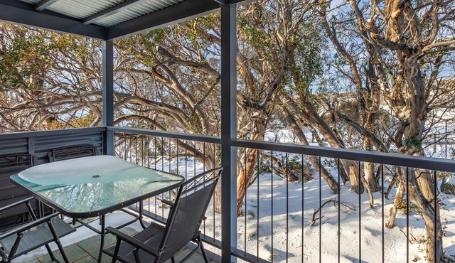 Lodge Chalet 28 - well appointed fully self contained 3bedroom/3bathroom apartment in Perisher Valley