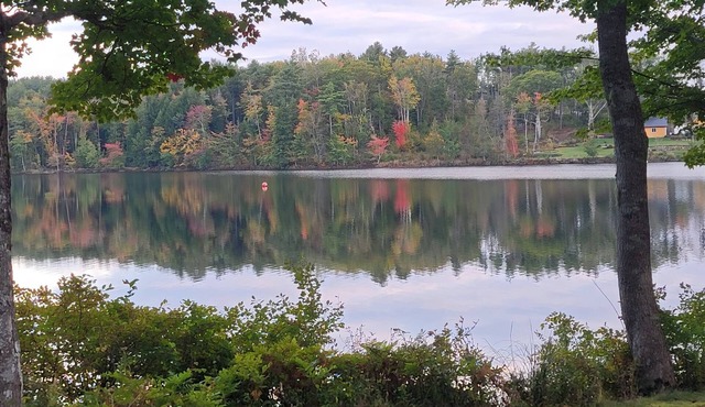 Lovely 1-bedroom Apartment on Fancy Lake in Conquerall Mills