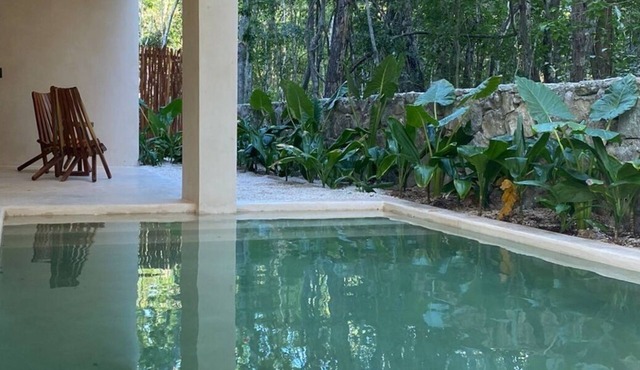 Luxury apartment with Private pool in the middle of the Jungle of Tulum in Ciudad Chemuyil