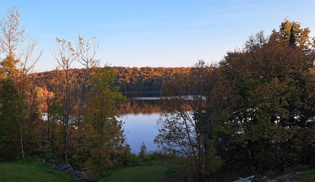 Magnetawan River beauty, located on 10 acres very peaceful and private. in Whitestone