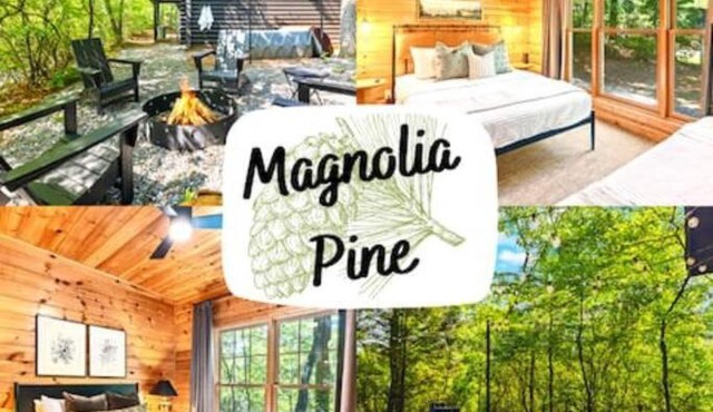 Magnolia Pine With Hot tub and Mountain Views in Bryson City