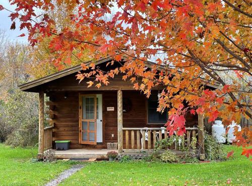 Mill Creek Cabins in Lodi