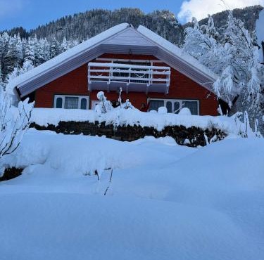 Mistvale Cottage in Manāli