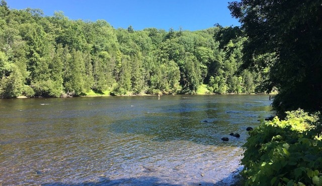 Muskegon River Front Cabin in Newaygo