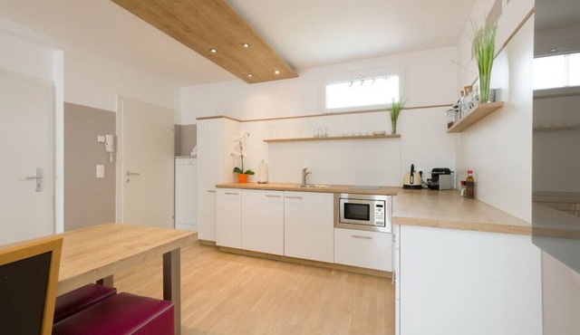 Opera Top 16 Downtown Apartment - Christian Apartments in Vienna