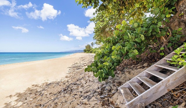 Pacific Pearl Beachfront Estate in Laie