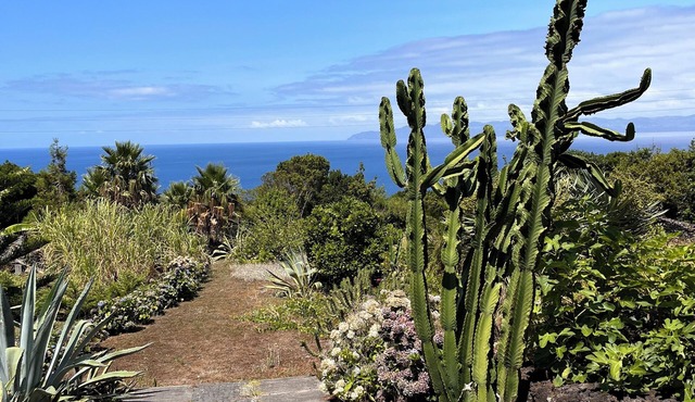 Panoramic Ocean Views from your Private Varand in São Roque do Pico