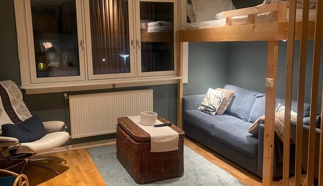 Practical smart studio Apartment near popular Frogner Park. in Oslo