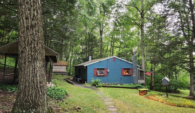 Private rustic cabin in New Ringgold in New Ringgold